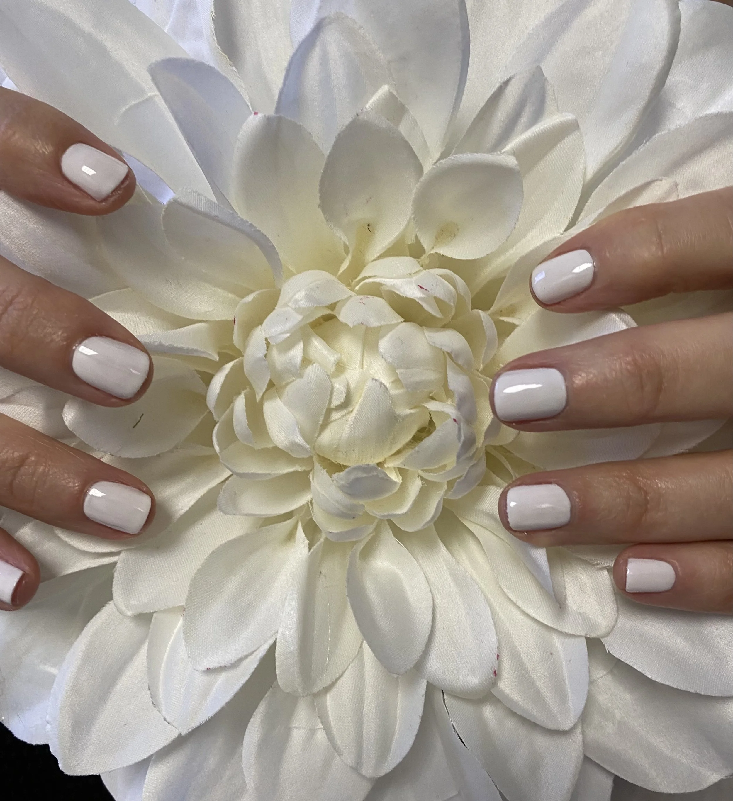 Mane Event Salon in Rosemont, IL (4)