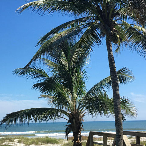 Seaside Realty of Brevard in Cape Canaveral, FL