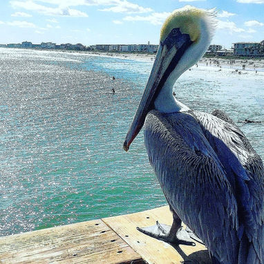 Seaside Realty of Brevard in Cape Canaveral, FL (3)