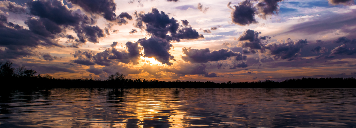 Carol Vandyke -Realtor in Eutawville, SC (3)
