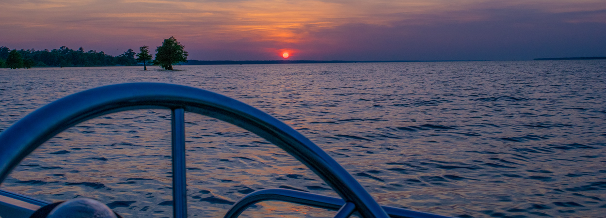 Carol Vandyke -Realtor in Eutawville, SC (6)