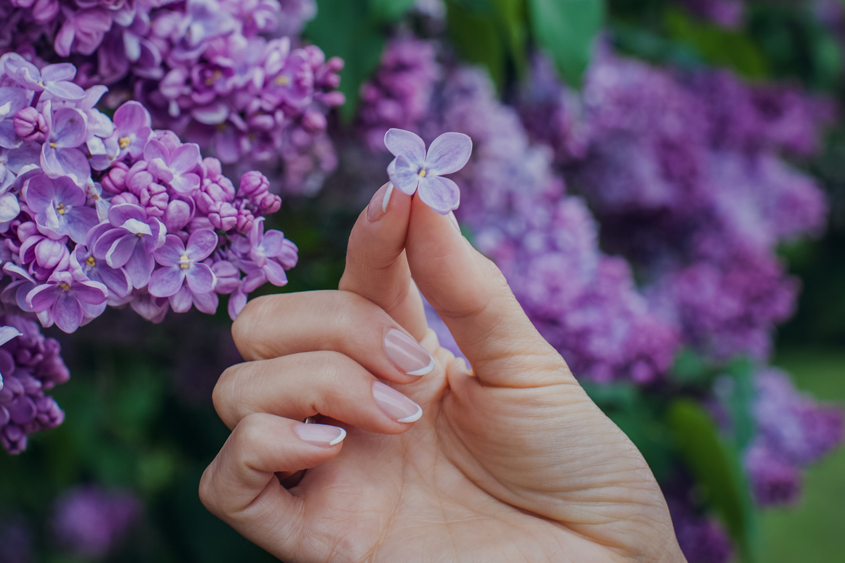 Superb Nails & More in Peachtree City, GA (3)