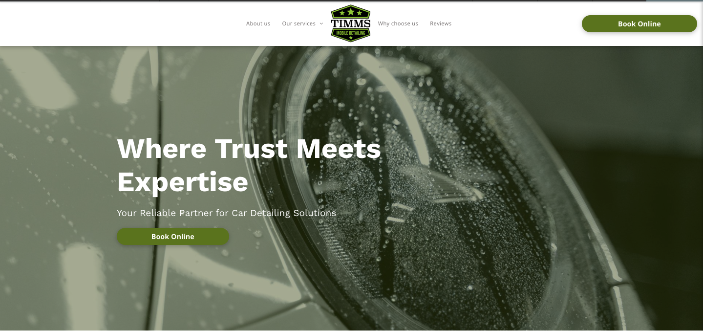Timms Mobile Detailing in Greenville, SC (2)