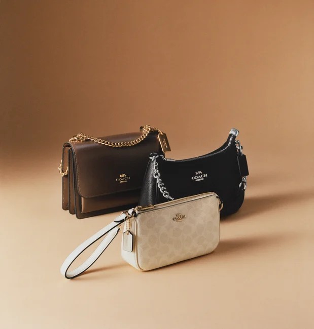 COACH Outlet in Dawsonville, GA (4)