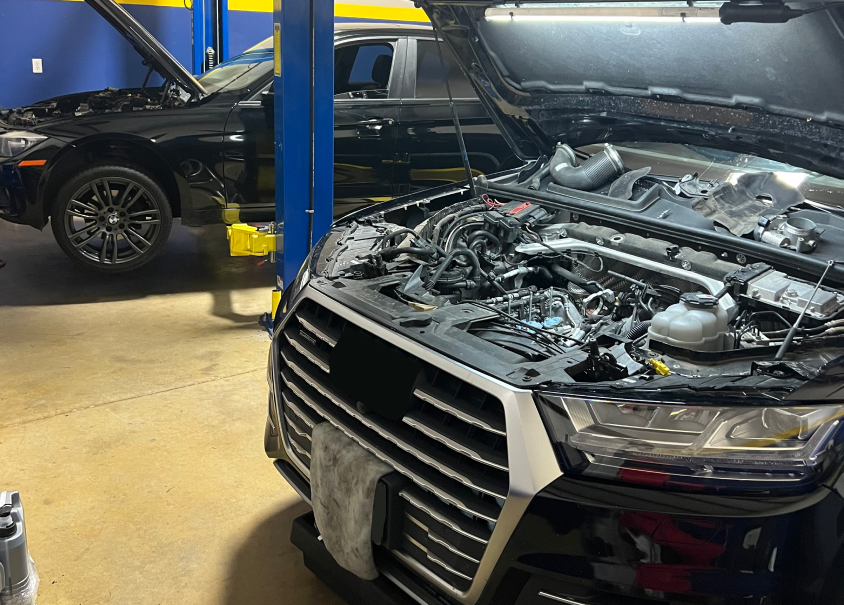 Elite European Auto, LLC in Frisco, TX (2)