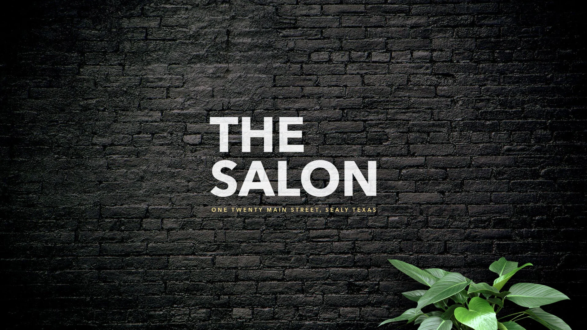 The Salon in Sealy, TX (2)