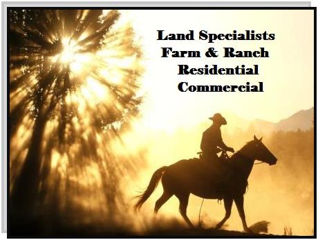 SRE Real Estate in Leonard, TX (2)