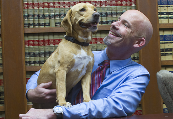 The Law Office of Paul Miller in Santa Rosa, CA (2)