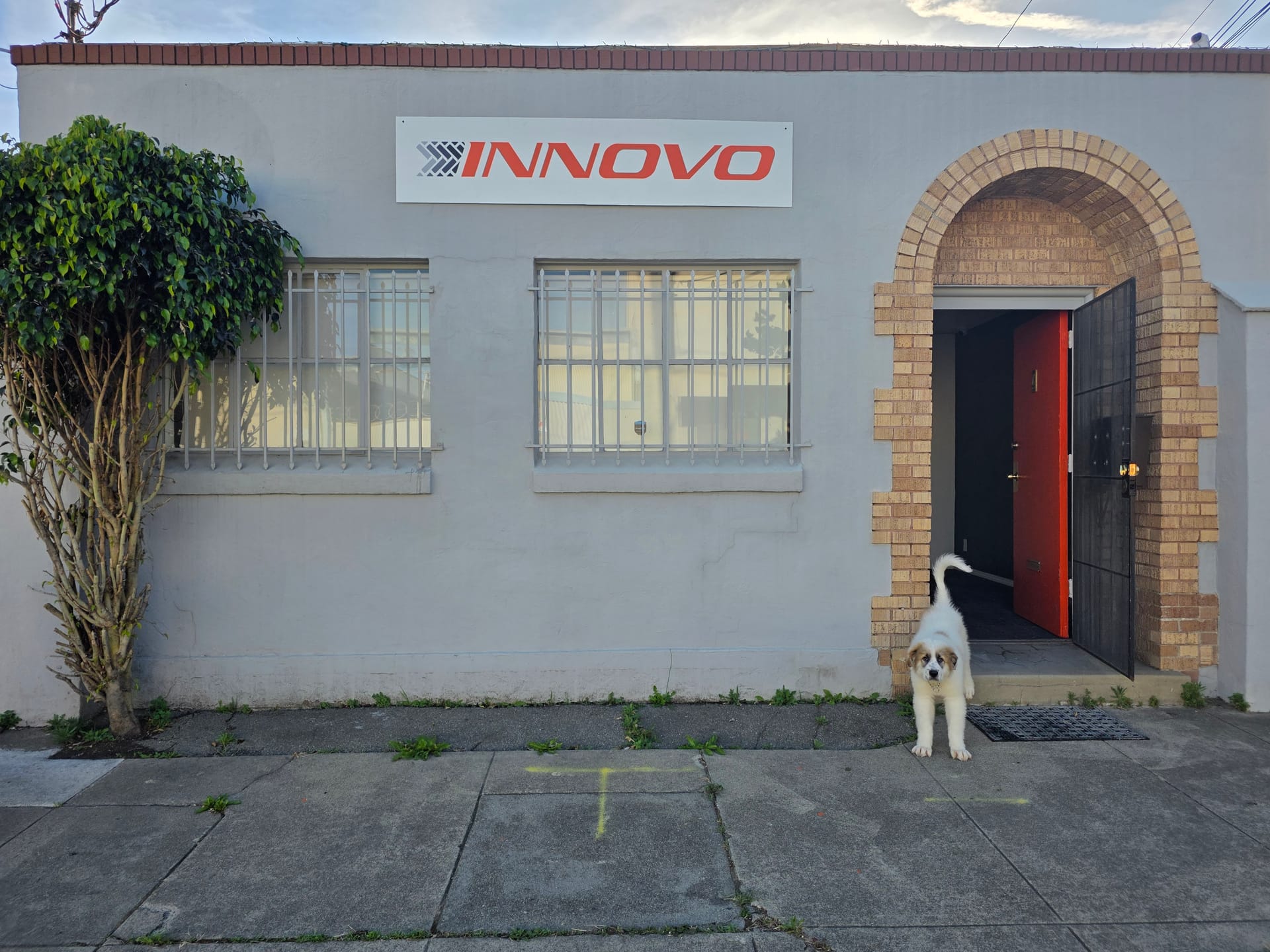 Innovo Mobile Auto Detailing in San Francisco, CA (3)