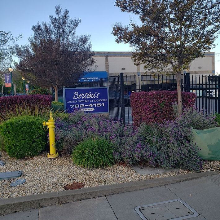 Bertini's German Motors in Roseville, CA (6)