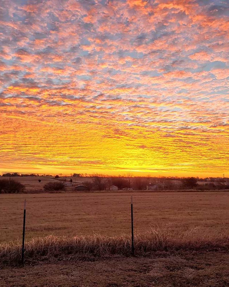 McCloy Law LLC in Spearman, TX