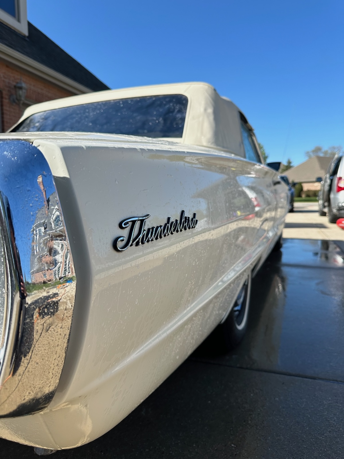 Elite Auto Detailing (Mobile Detailing Service) in Tinley Park, IL (5)