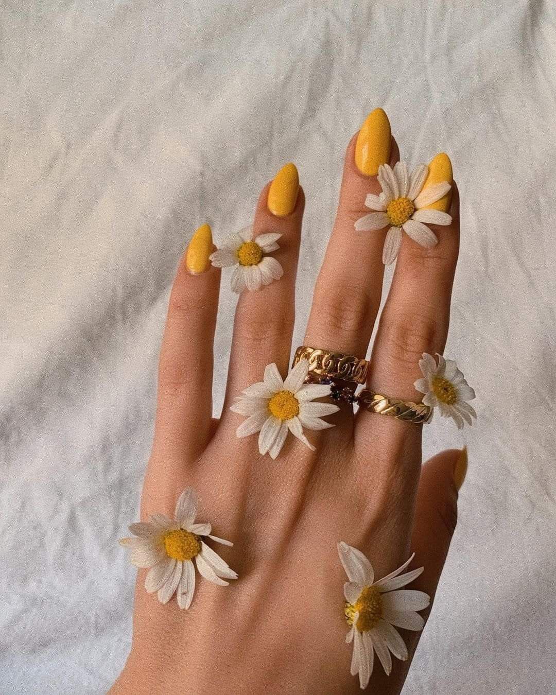 Lucy T&T Nails in Palm Bay, FL (4)