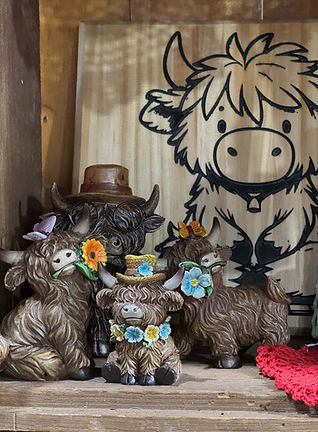 Bittersweet Homestead Boutique in Amery, WI (3)