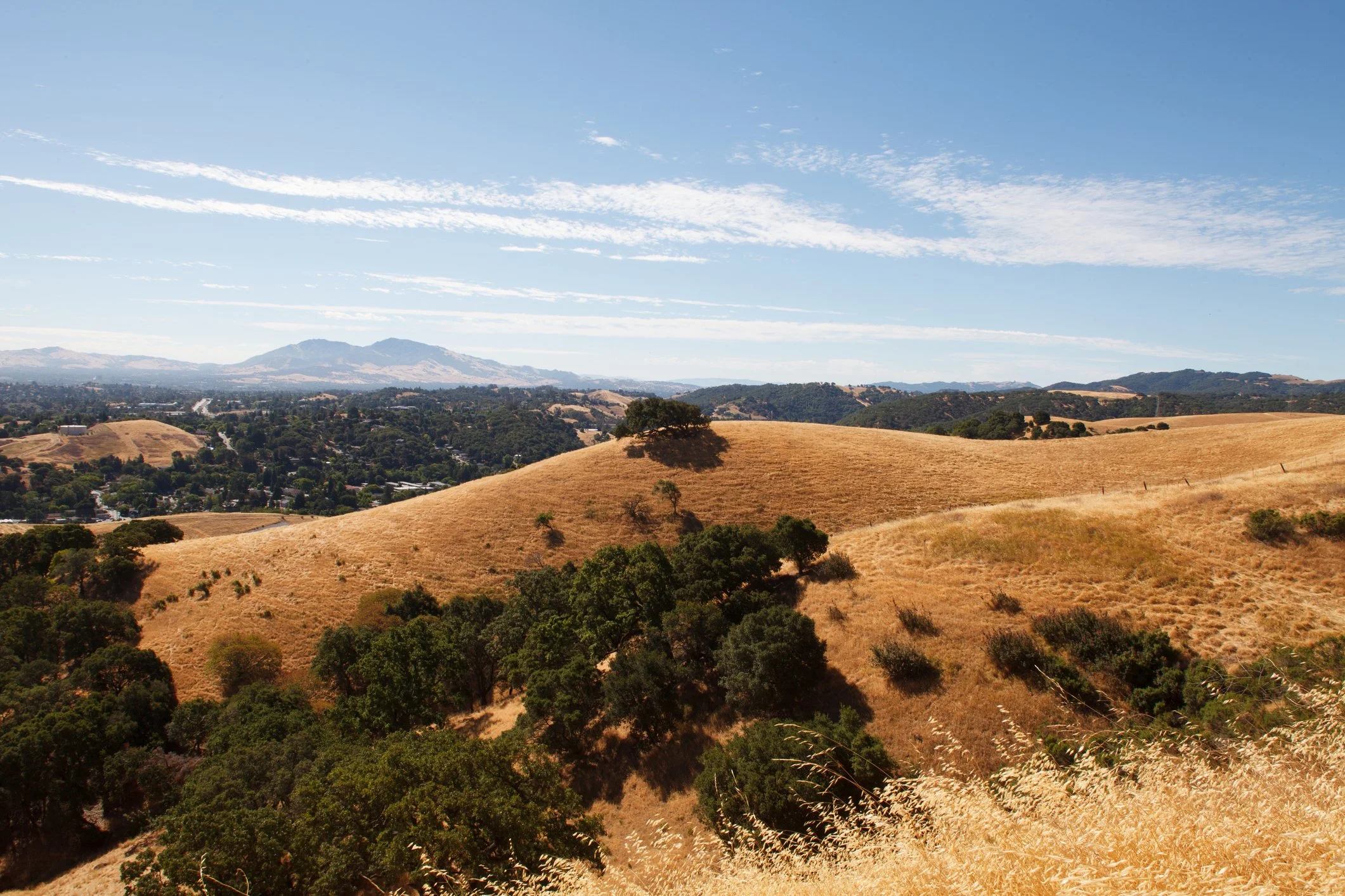 Greerty Law Group in Martinez, CA (2)