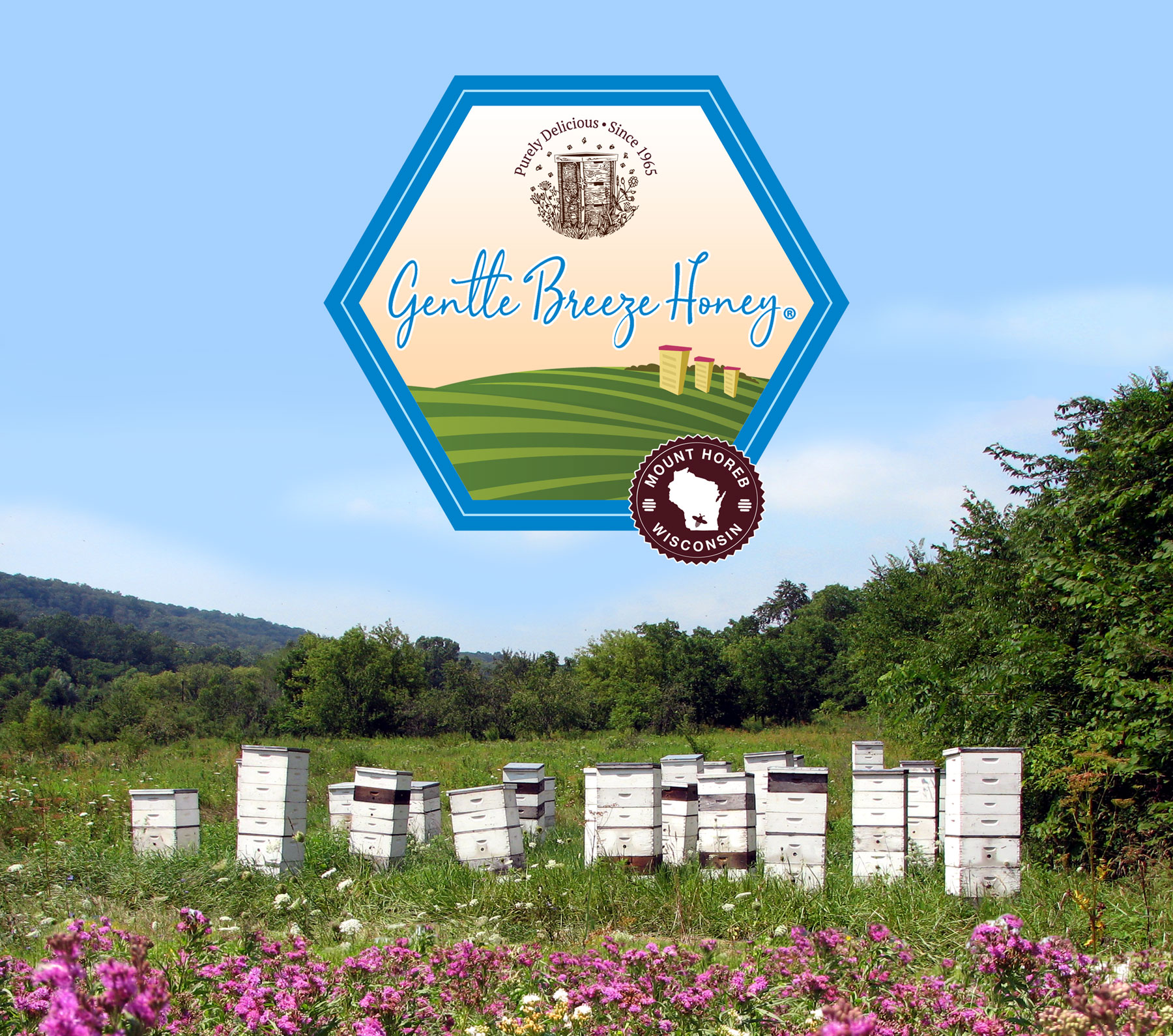 Gentle Breeze Honey in Mt Horeb, WI (2)
