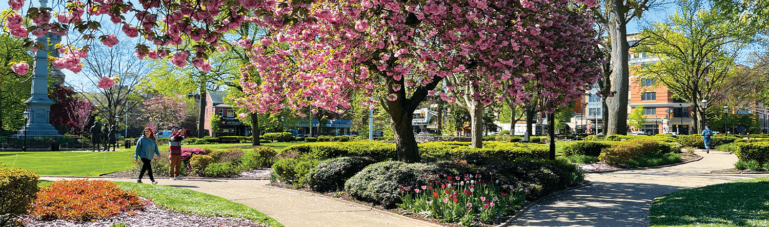 Morristown Partnership in Morristown, NJ