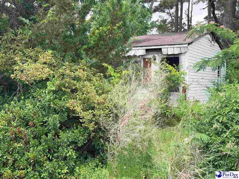 Dillon Realty Inc in Dillon, SC (4)