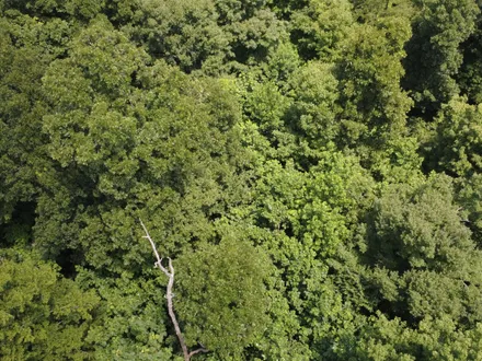 Caleb Low Mossy Oak Properties Indiana Land and Lifestyle in Avon, IN
