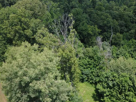 Caleb Low Mossy Oak Properties Indiana Land and Lifestyle in Avon, IN (2)