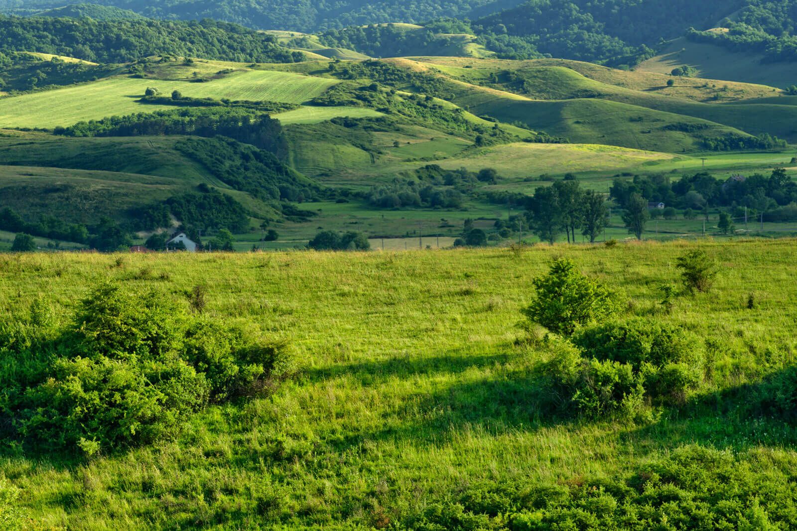 The Kable Team / Real Broker in Charles Town, WV (3)