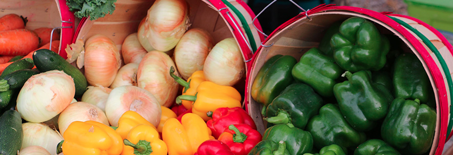 Sanibel Island Farmers Market in Sanibel, FL (3)