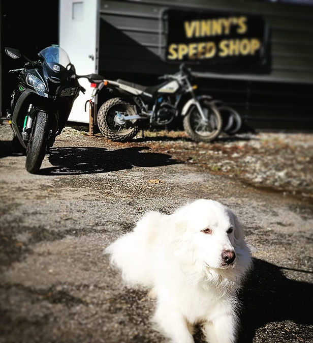 Vinny's Speed Shop in Cleveland, GA