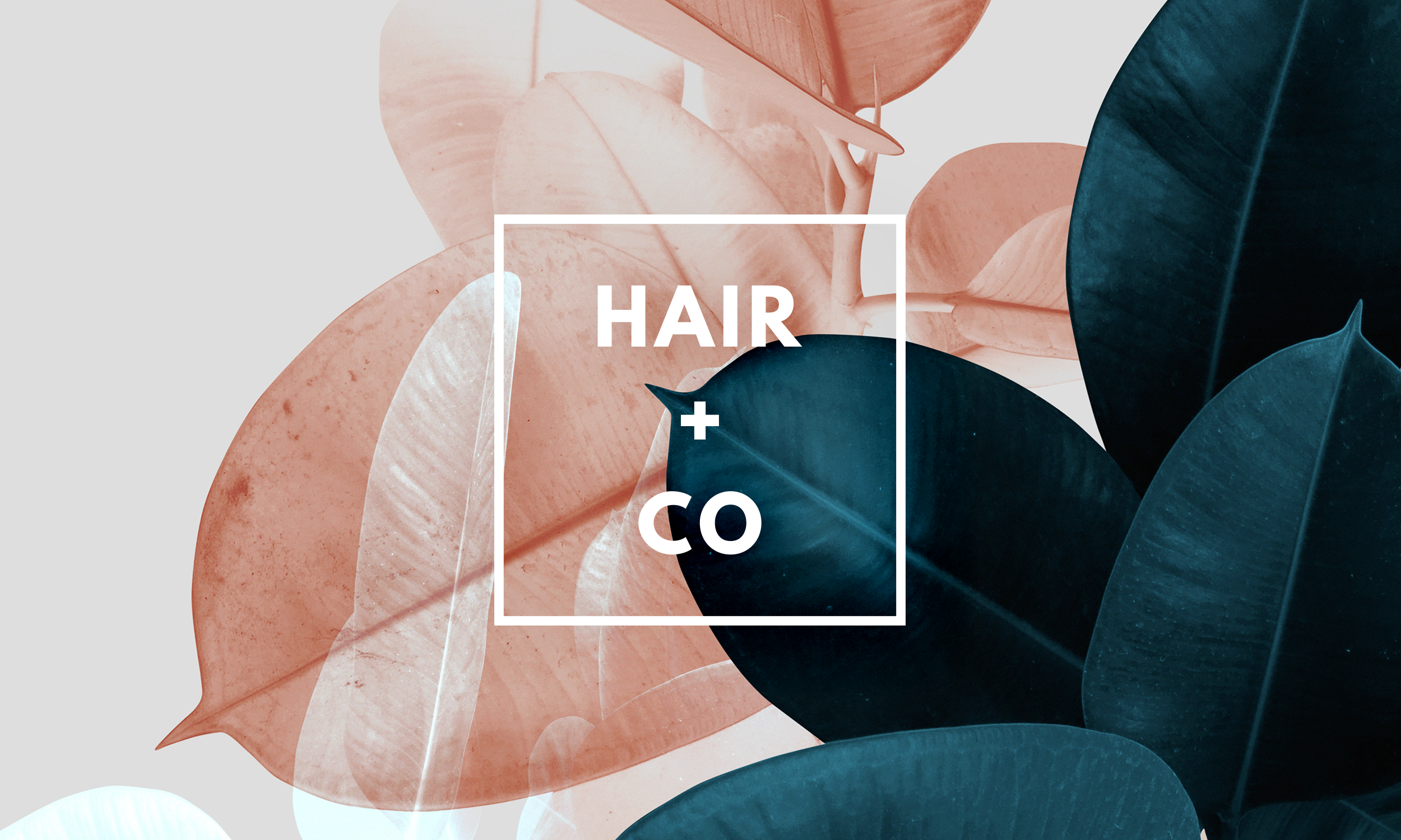 HAIR + CO in Pensacola, FL