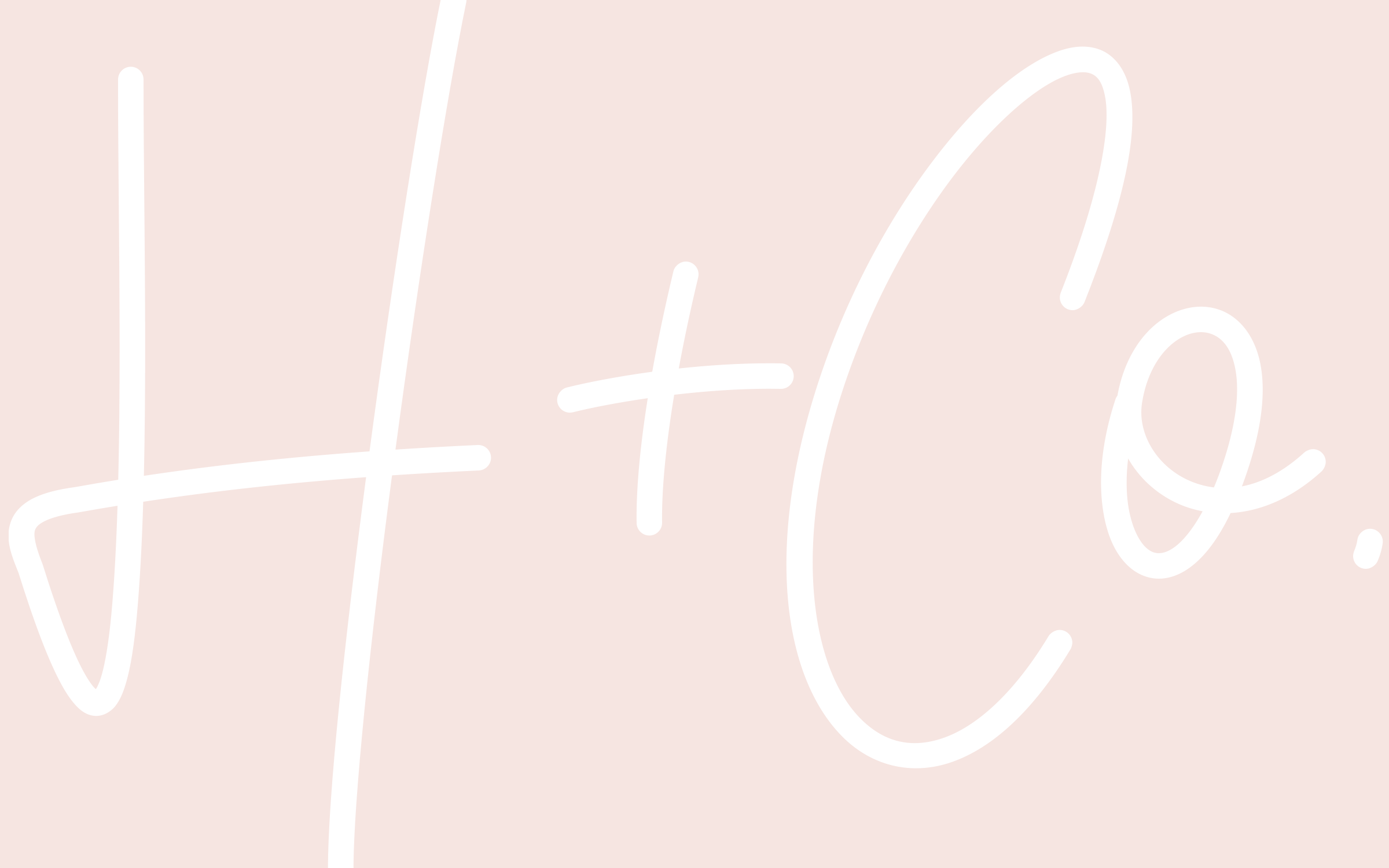 HAIR + CO in Pensacola, FL (6)