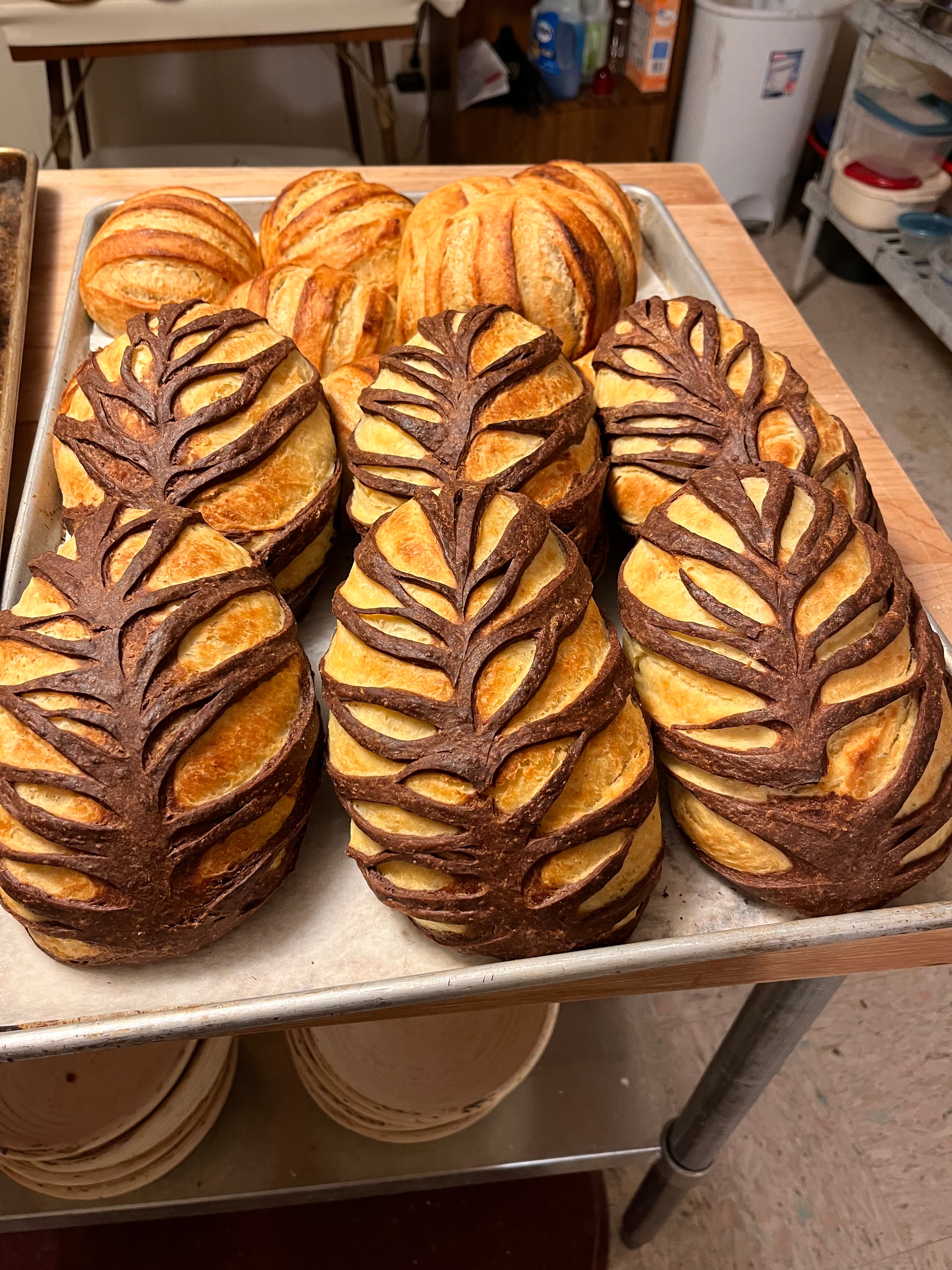 Novel Breads Co. in Mars, PA (6)