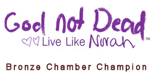 Yadkin County Chamber-Commerce in Yadkinville, NC (2)