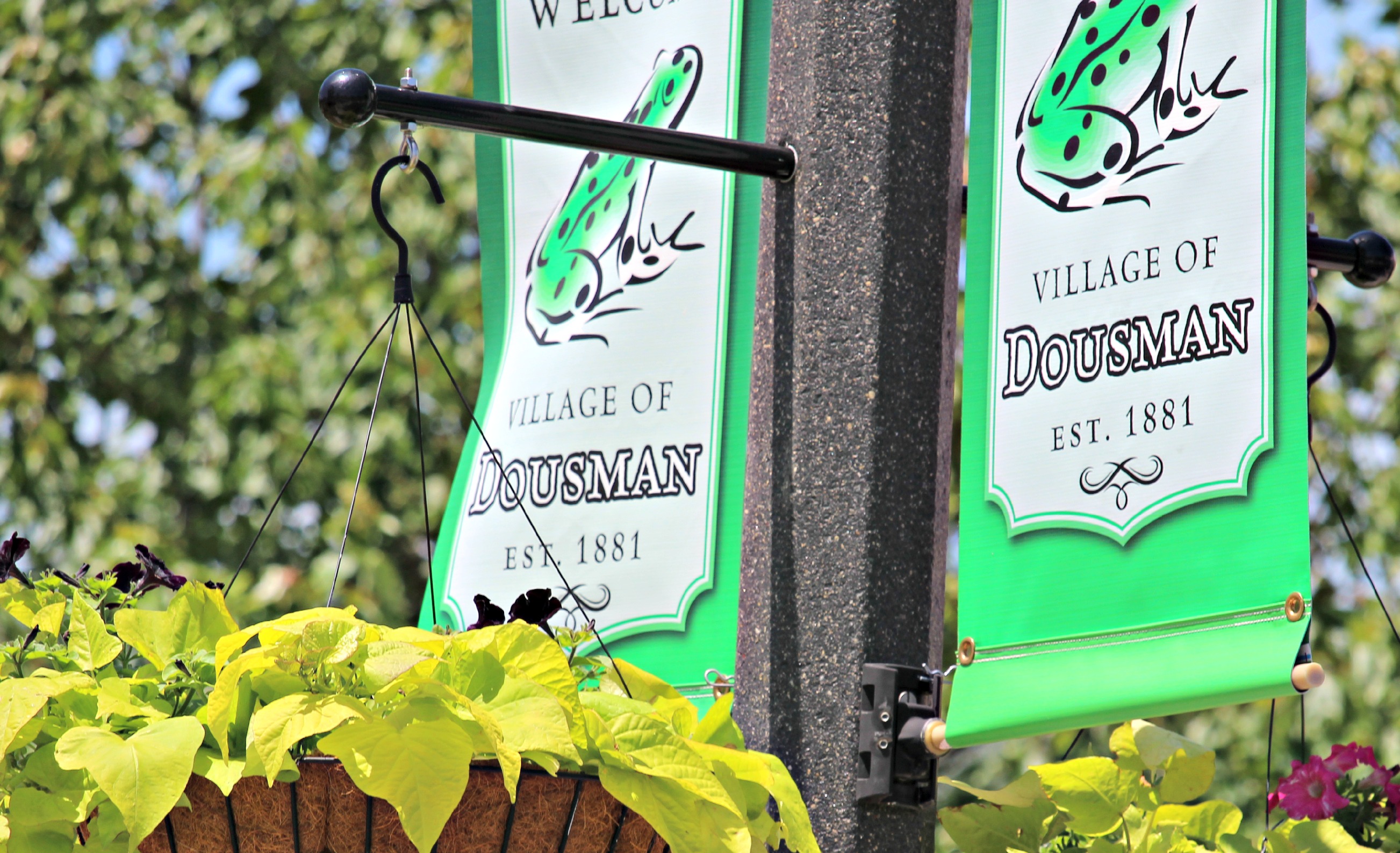 Dousman Area Chamber of Commerce in Dousman, WI (2)
