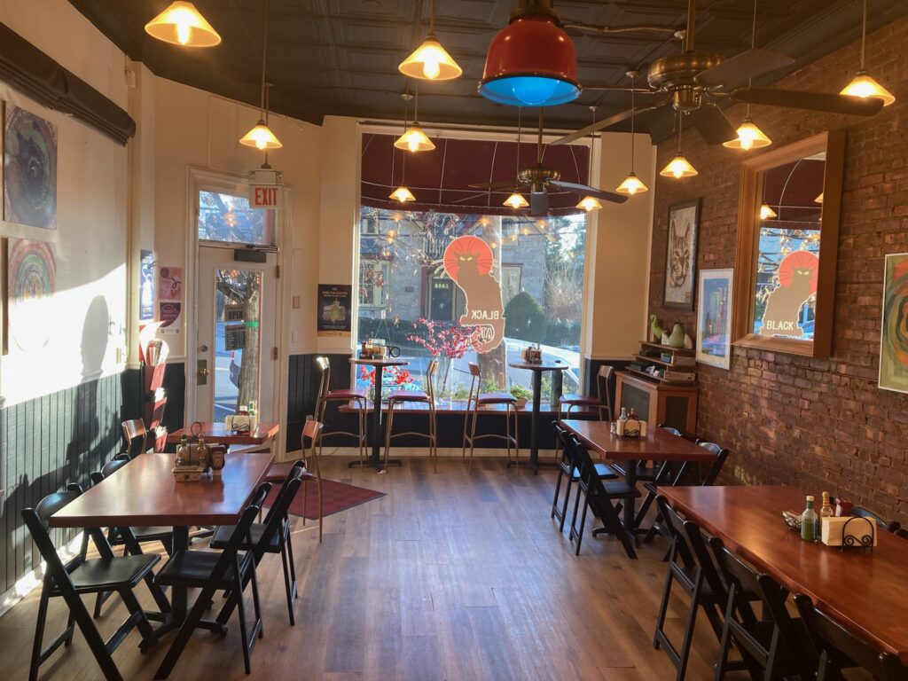 Black Cat Cafe in Irvington, NY (5)