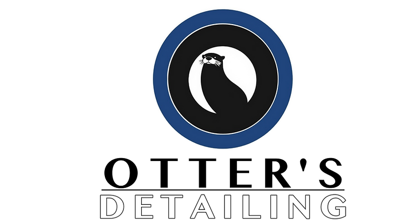 Otter's Detailing LLC in Remlap, AL (2)