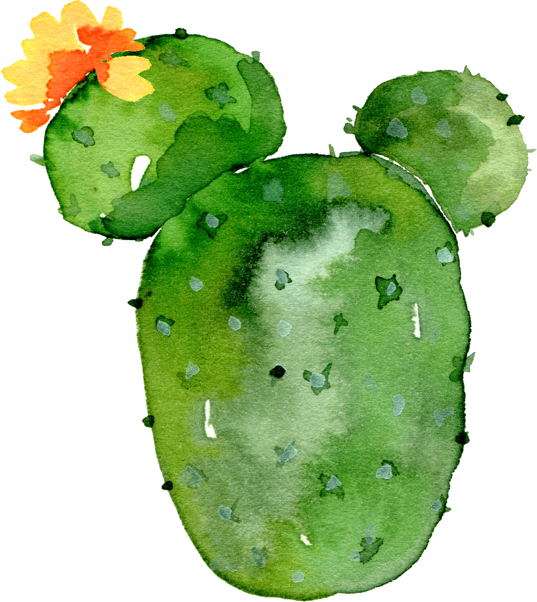 Cactus Blue in Emmaus, PA