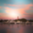 U-Tiki Beach at Jupiter Inlet Marina in Jupiter, FL (4)