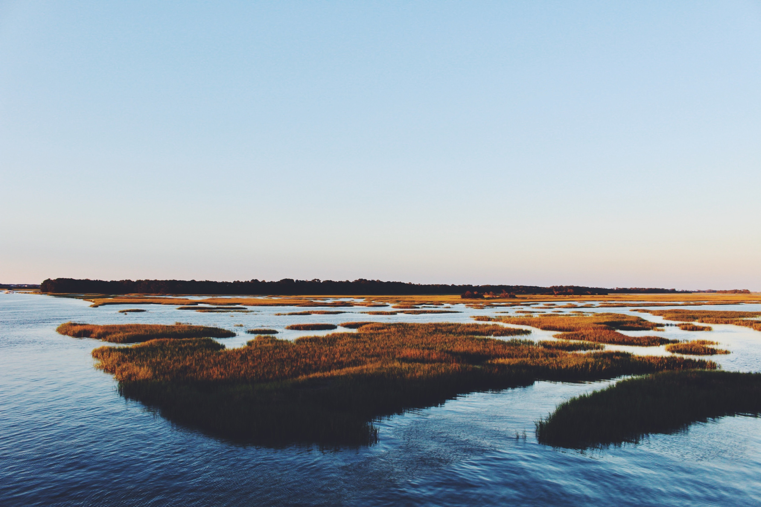 Johnson Tax & Accounting Solutions, LLC in Mt Pleasant, SC