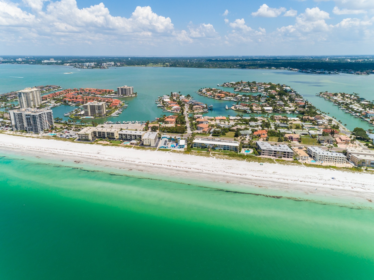 Sharon Deegan Realtor Coldwell Banker in Belleair Bluffs, FL (4)