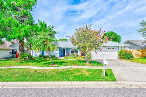Sharon Deegan Realtor Coldwell Banker in Belleair Bluffs, FL (5)