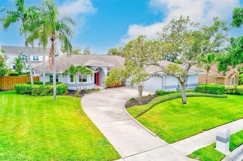 Sharon Deegan Realtor Coldwell Banker in Belleair Bluffs, FL (6)
