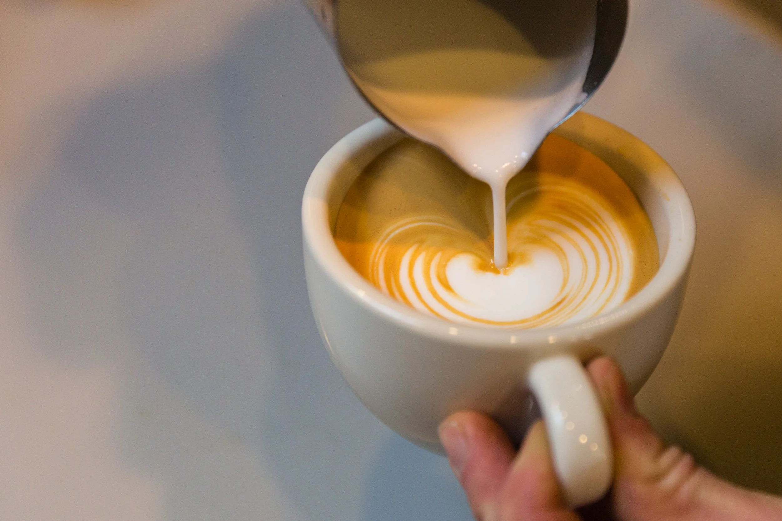 Calvin Fletcher's Coffee Company in Indianapolis, IN