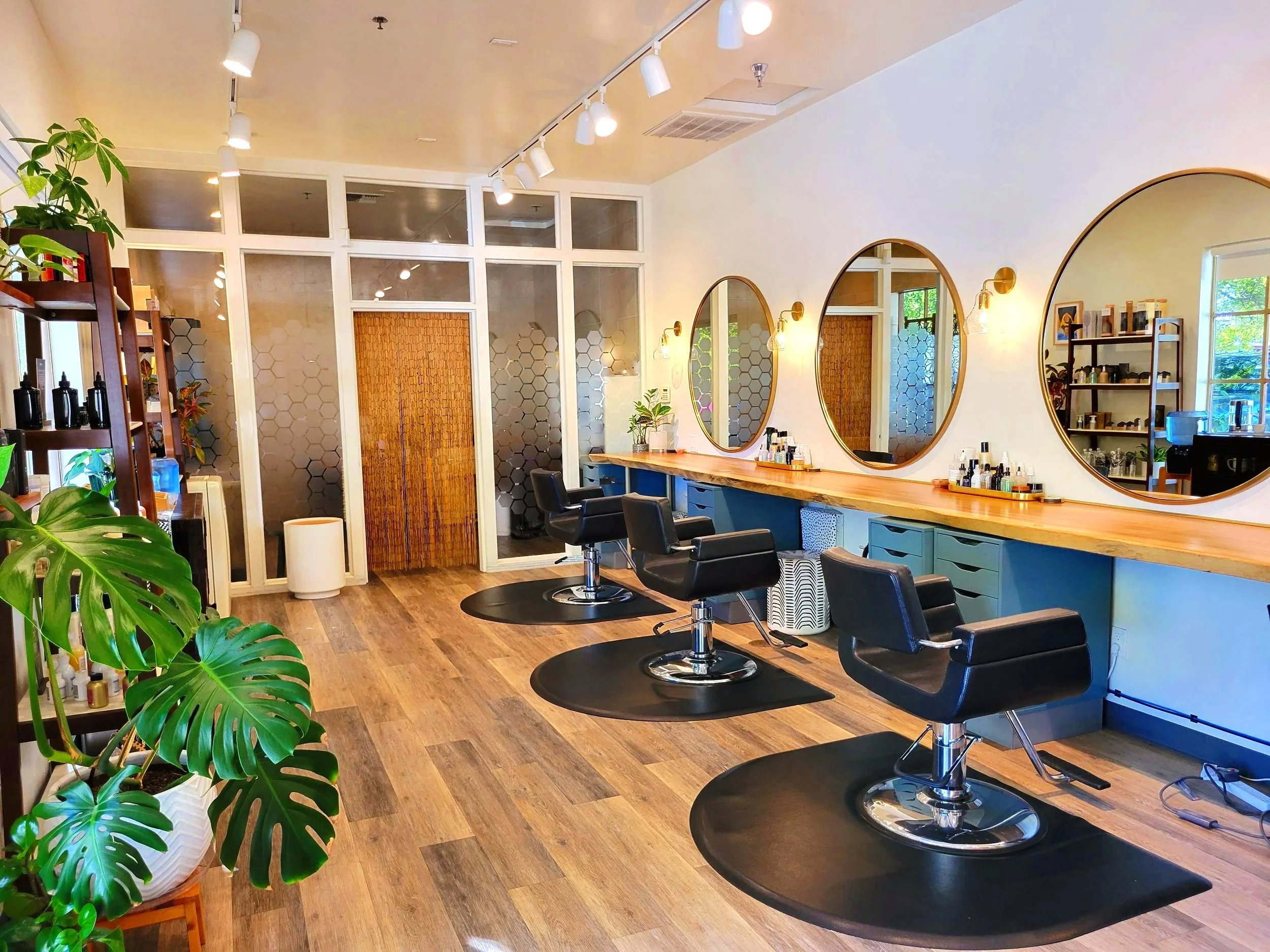 The Hive in Sebastopol, CA (3)