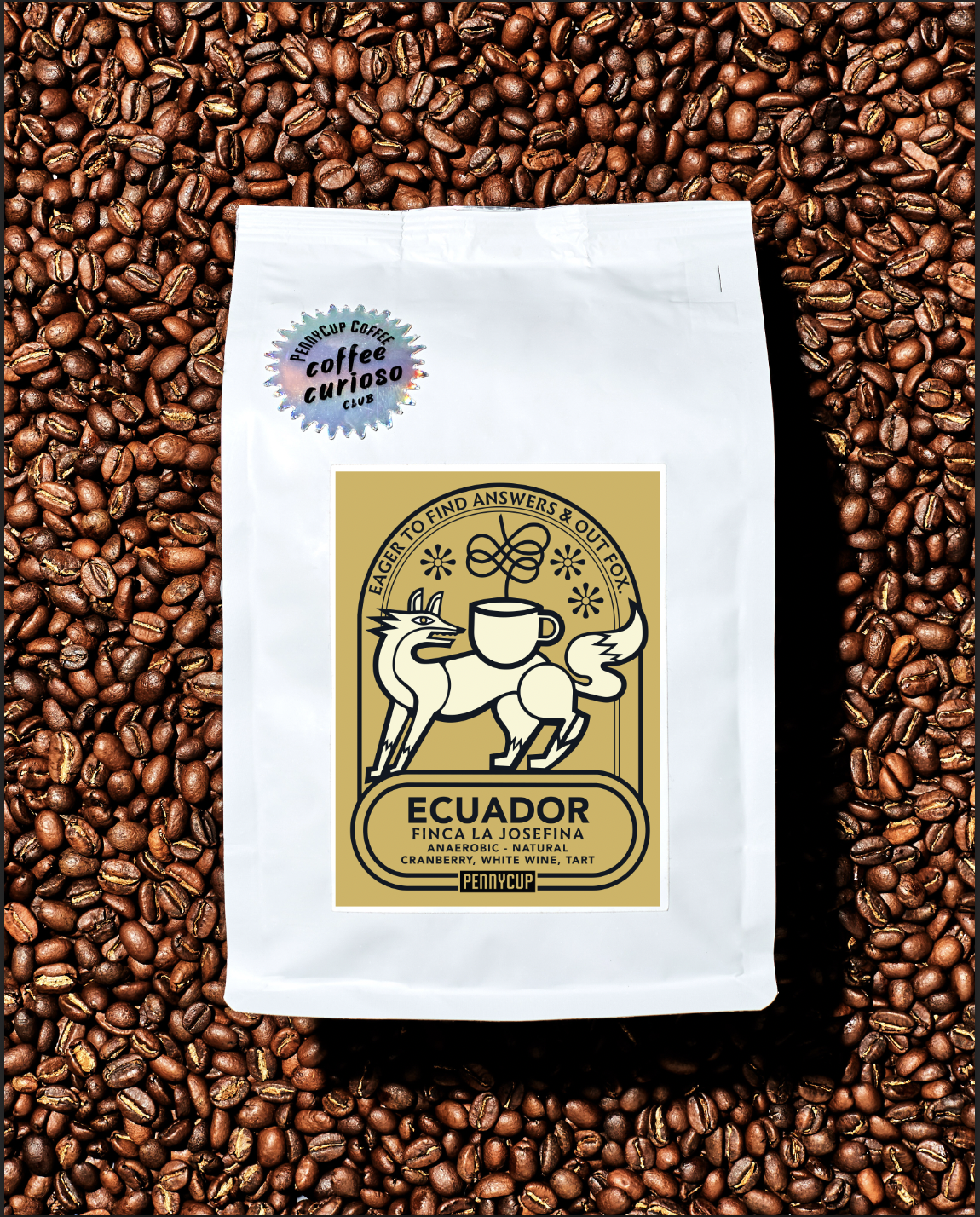 PennyCup Coffee Co. in Asheville, NC