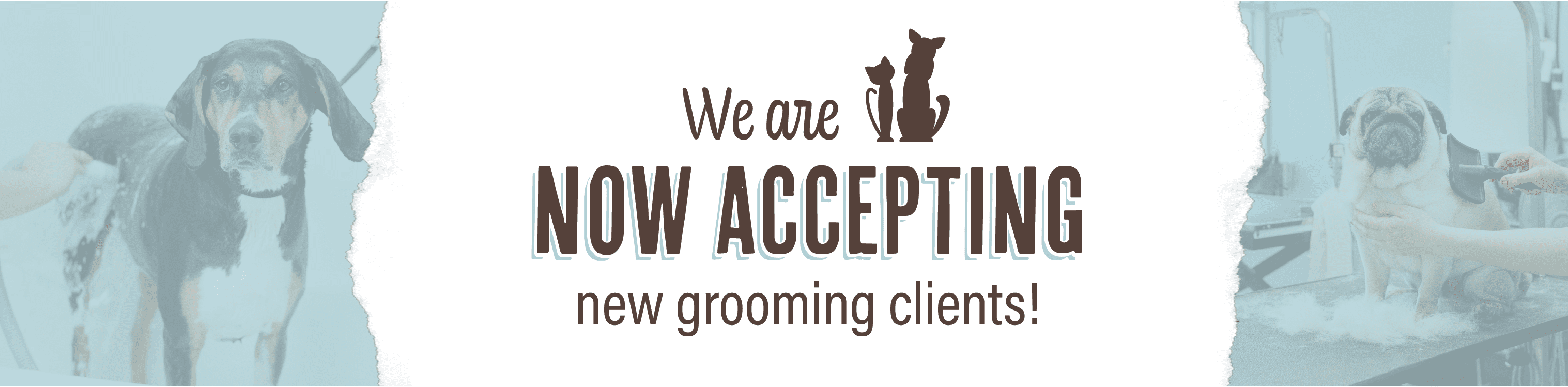 Spa Paw & Tail Premier Pet Resort in New Berlin, WI (2)