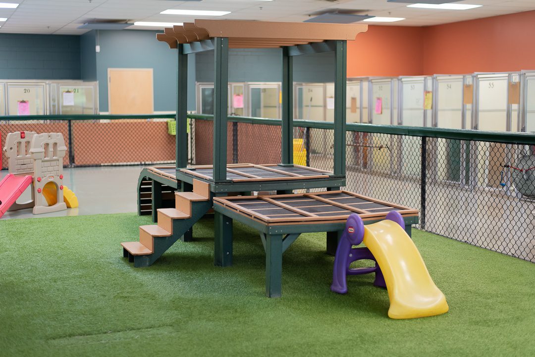 Spa Paw & Tail Premier Pet Resort in New Berlin, WI (3)