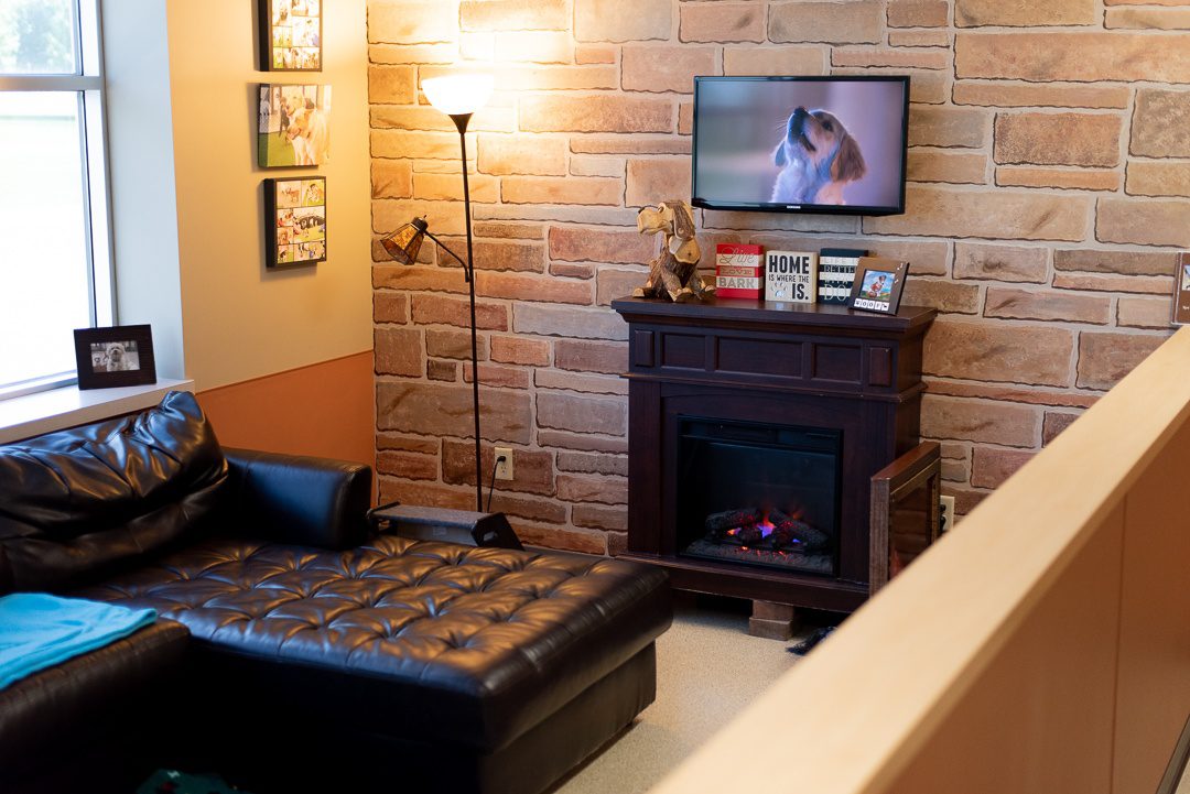 Spa Paw & Tail Premier Pet Resort in New Berlin, WI (5)