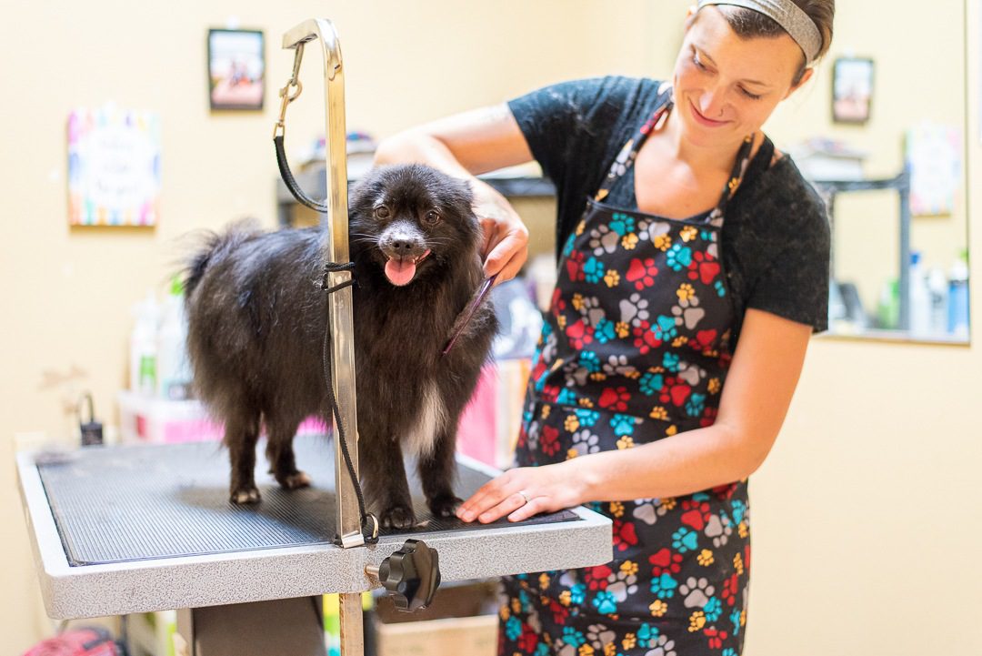 Spa Paw & Tail Premier Pet Resort in New Berlin, WI (6)