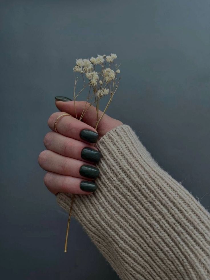Lally Nail & Headspa in Webster, TX (6)
