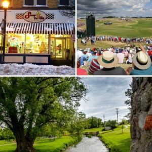 Hartford Area Chamber-Commerce in Hartford, WI (5)