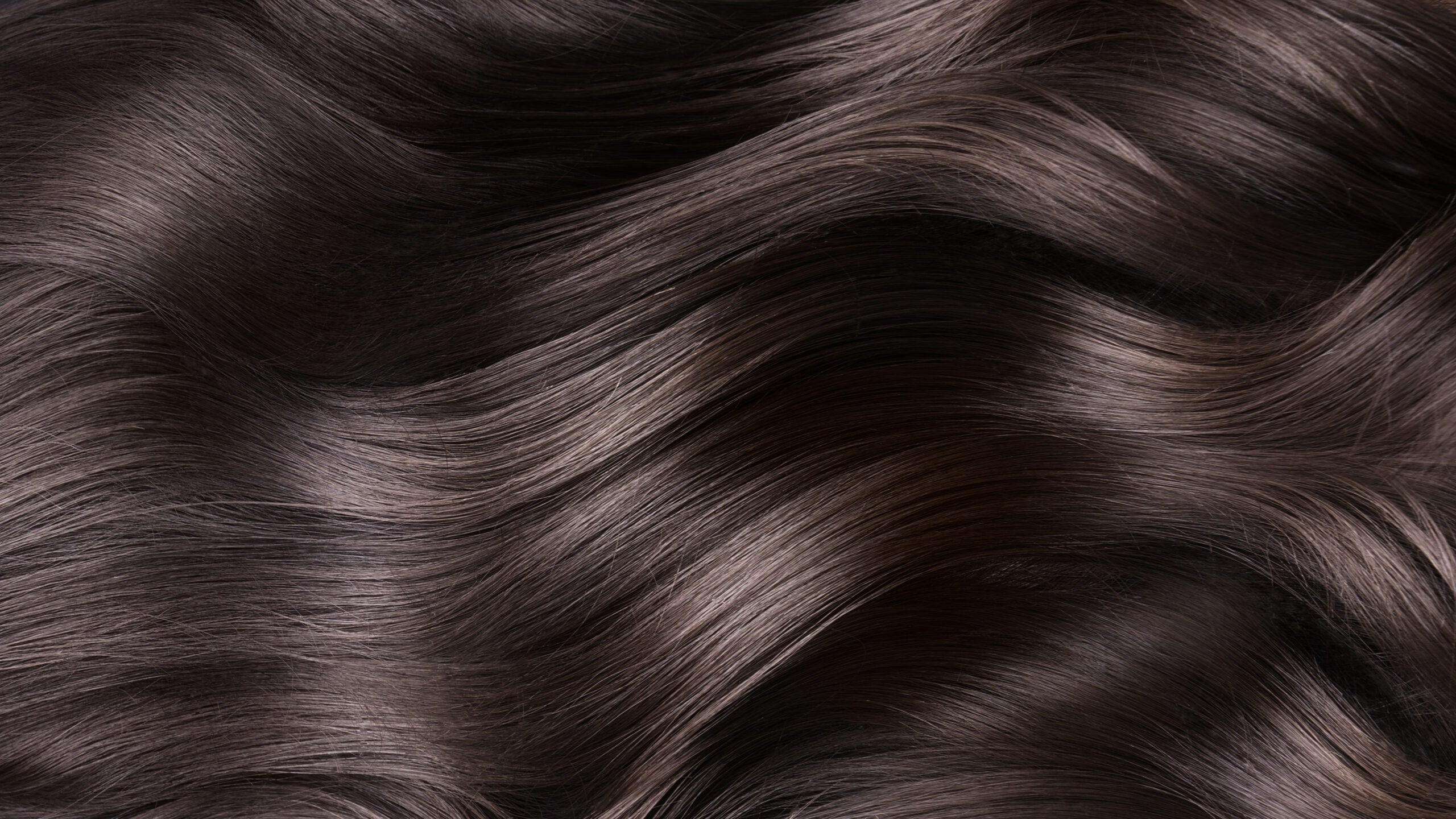 Everyday Beautiful Wigs in Odessa, FL (2)